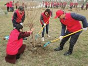 共建公益林、保护母亲湖1.jpg